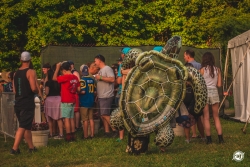 Firefly Music Festival 2018 - Photos