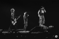2017 Guns N Roses Chicago Concert • Photos