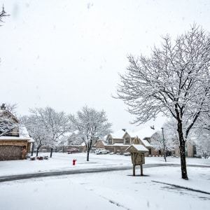 Winter Wonderland 2016