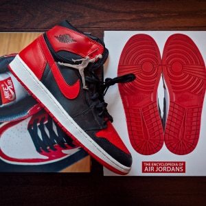 The Encyclopedia of Air Jordans 2.0