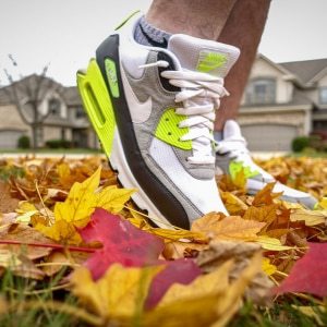 Favorite Season