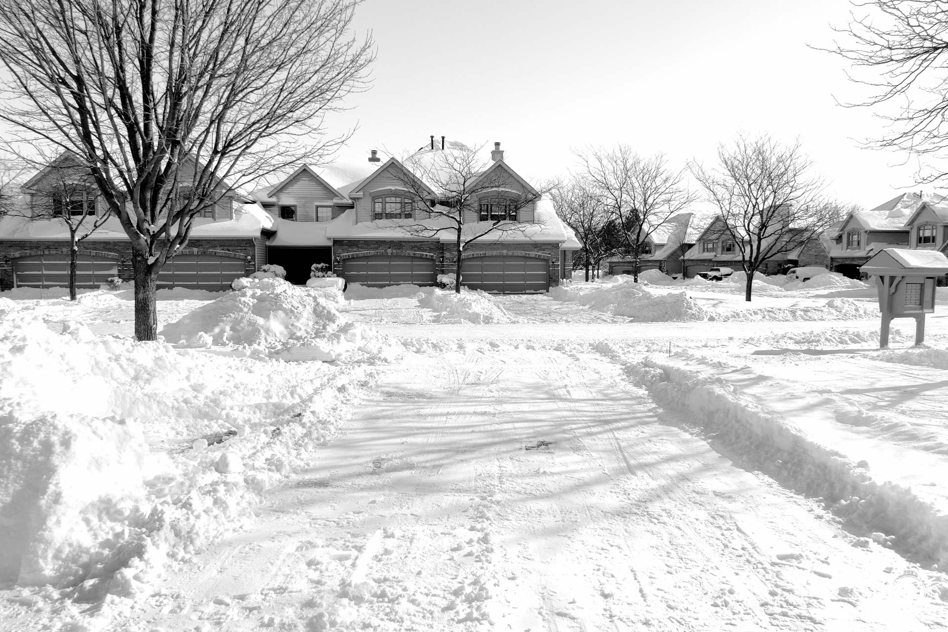 SuperBowl Sunday Snow
