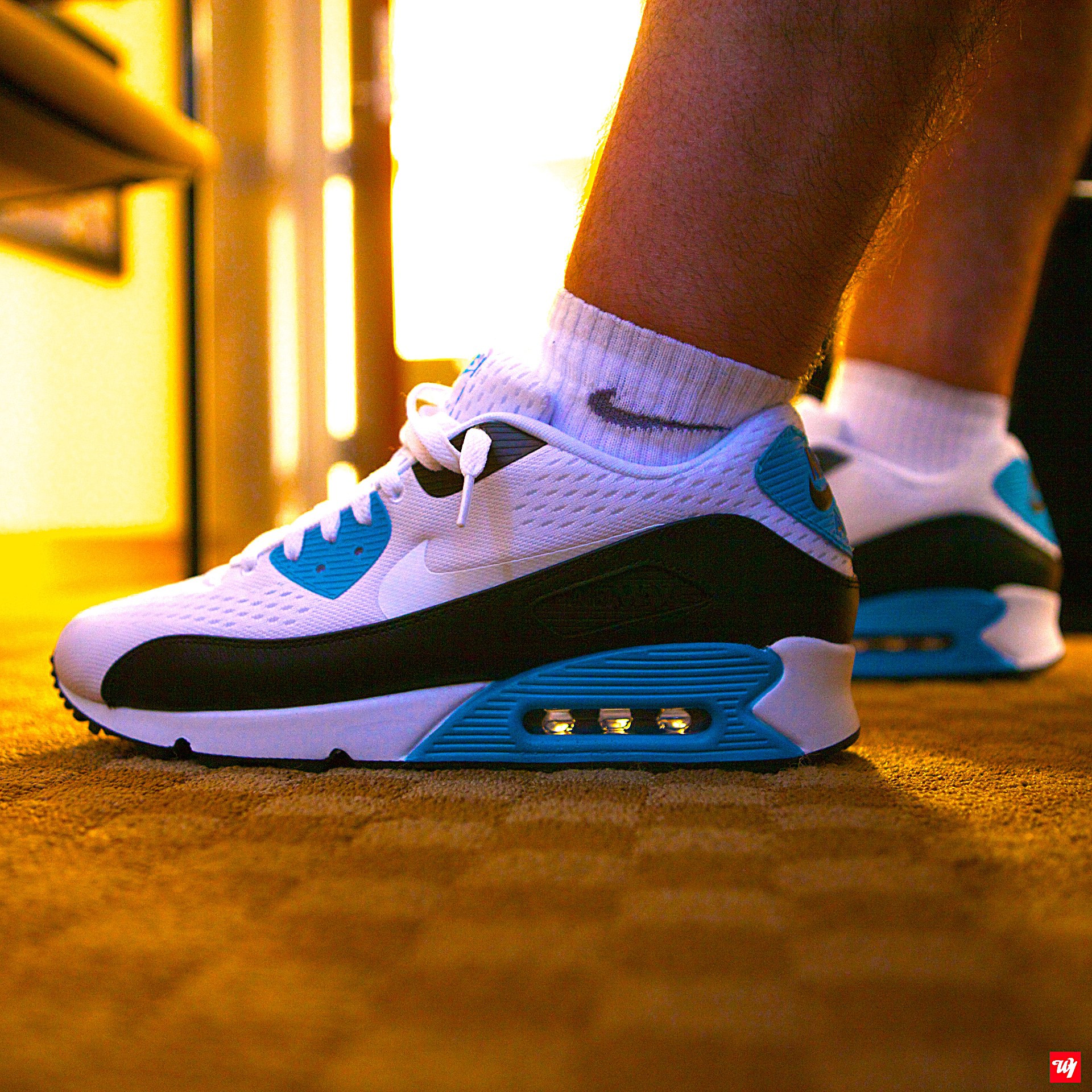 Nike Air Max ’90 EM