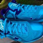 LeBron “Summit Lake Hornets” Low 9