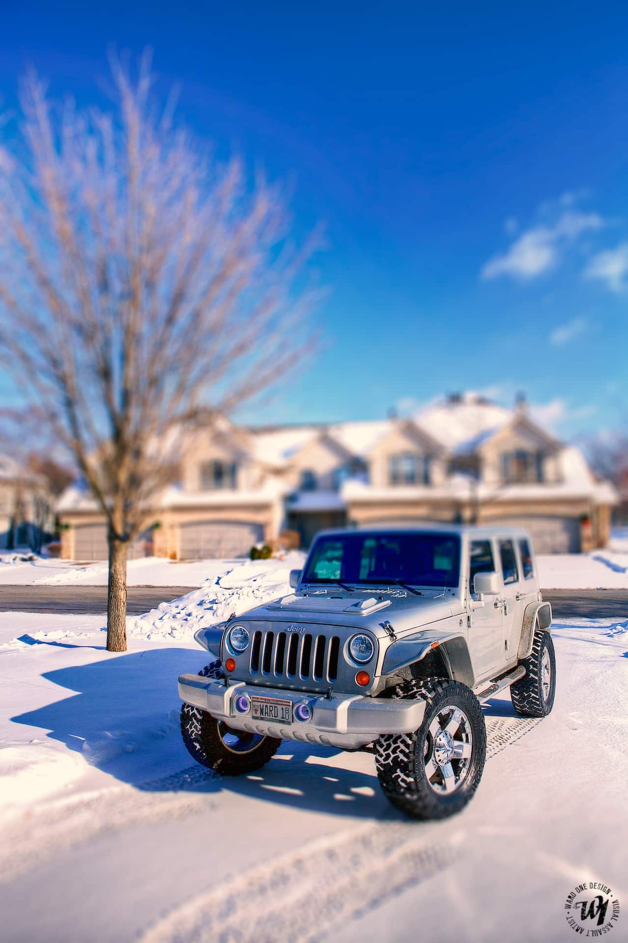 Toys in the Snow