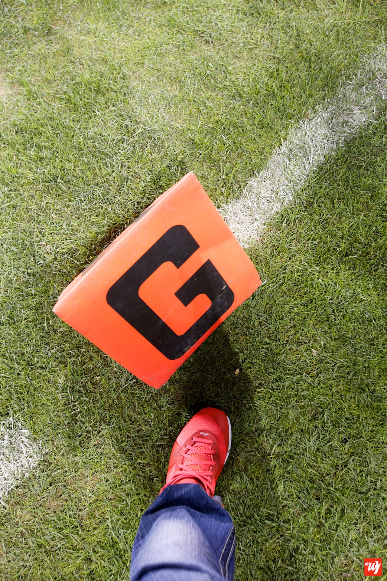 Bears Birthday Blowout Bash 10.16.2011