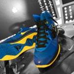 LeBron 8 “Entourage” Edition