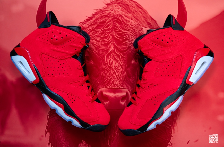 Air Jordan 6 • Toro Bravo