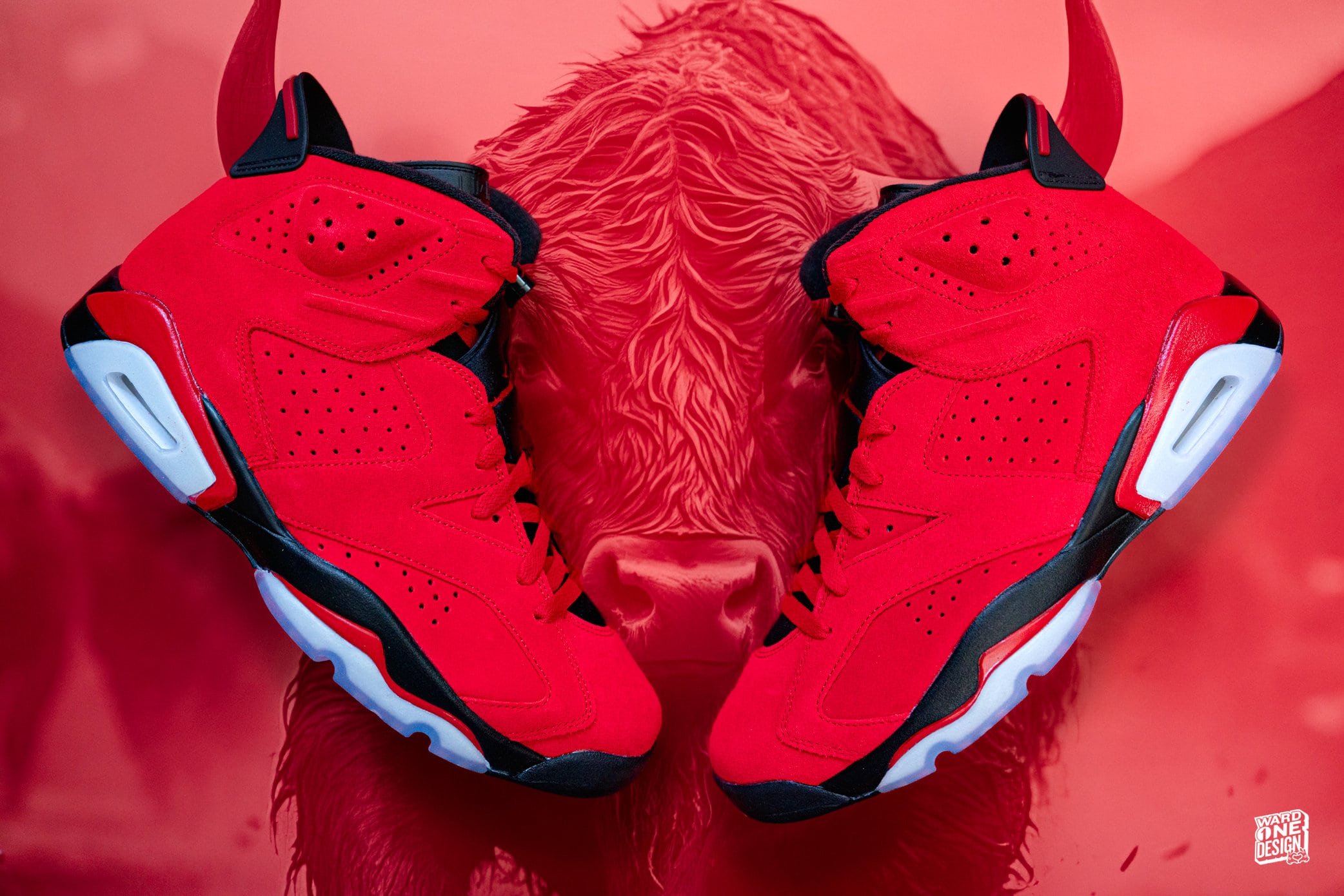 Air Jordan 6 • Toro Bravo