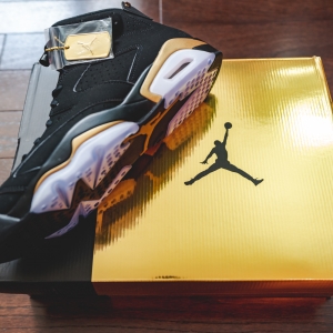 Air Jordan 6 DMP