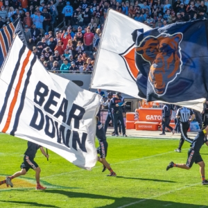 Bears vs Dolphins